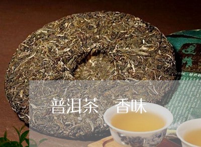 普洱茶 香味/2023042828047